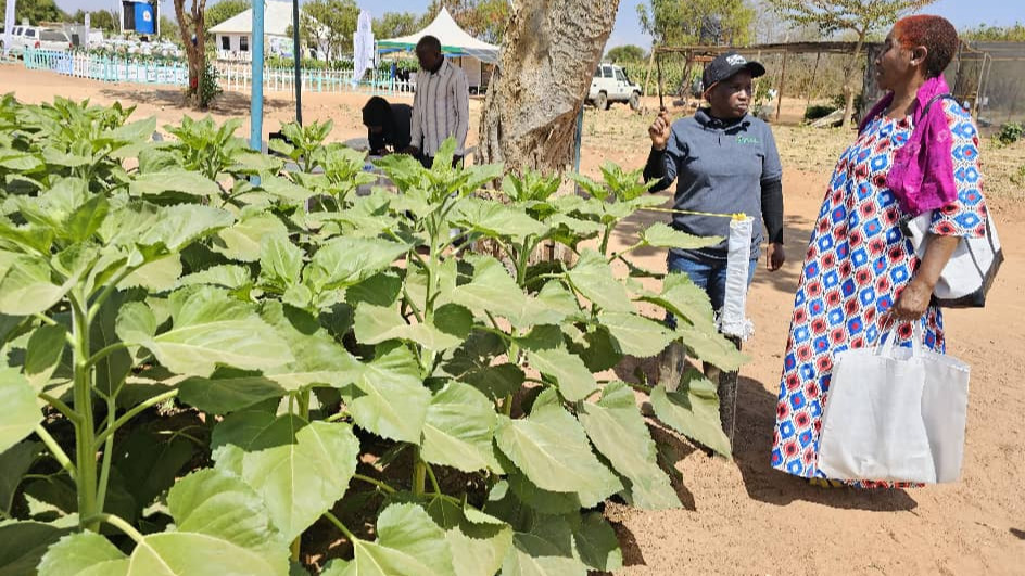 TFRA yaendelea kuwagusa wakulima kwa elimu msimu wa Nanenane