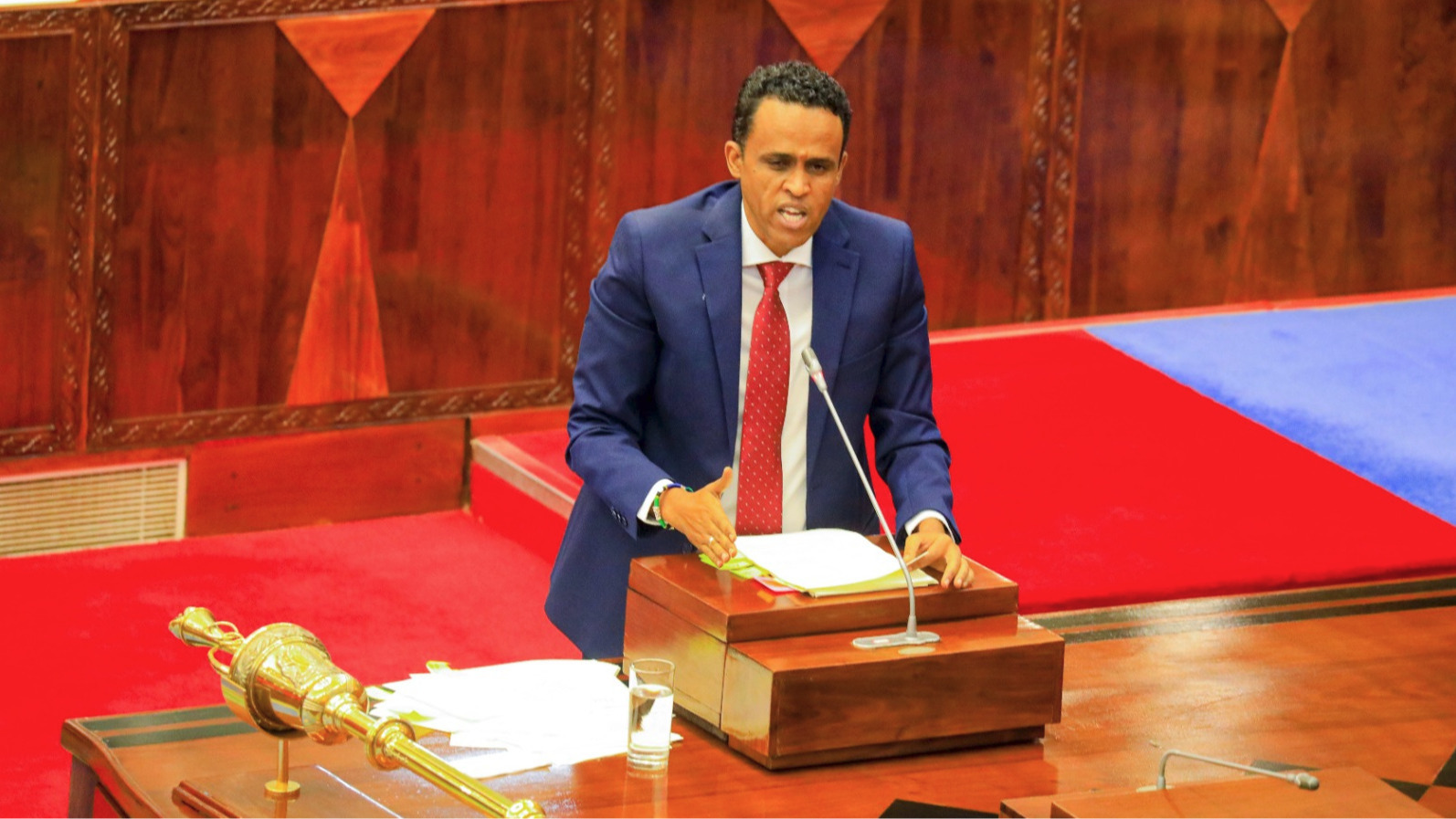 Serikali kuendelea kutoa mbolea ya ruzuku hadi 2026